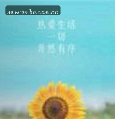 陈浩